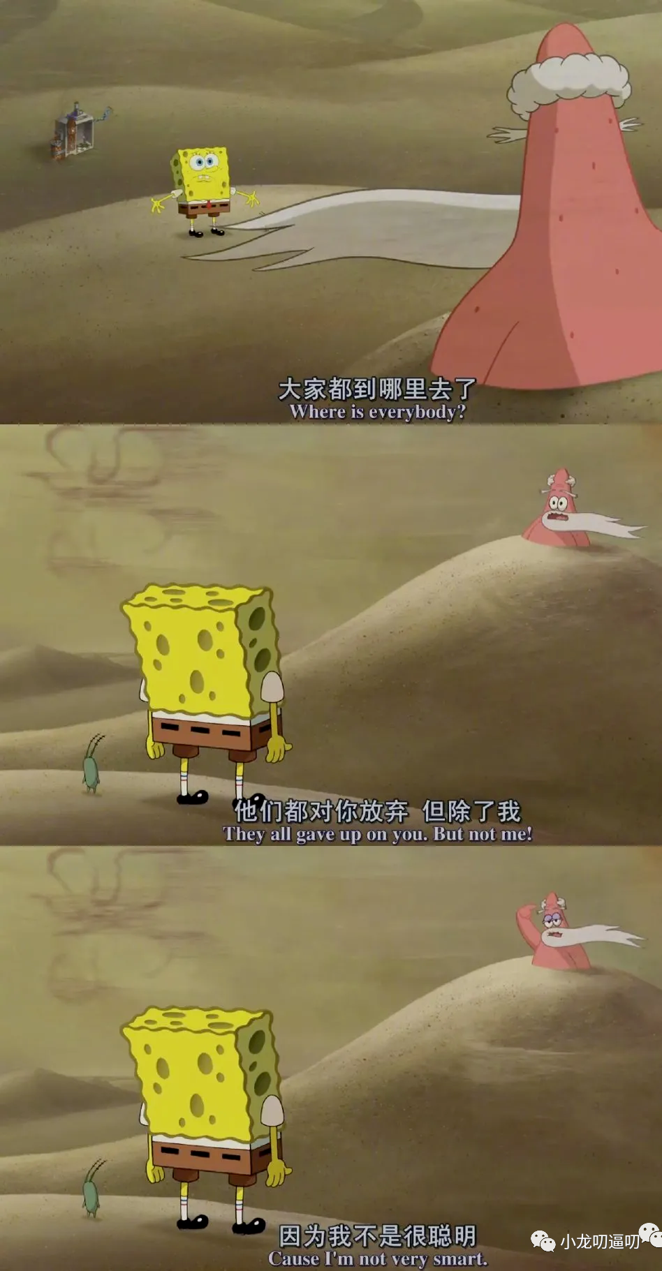 好大一只蝴蝶~